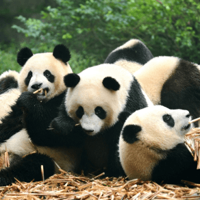 10 Days UNESCO World Heritage